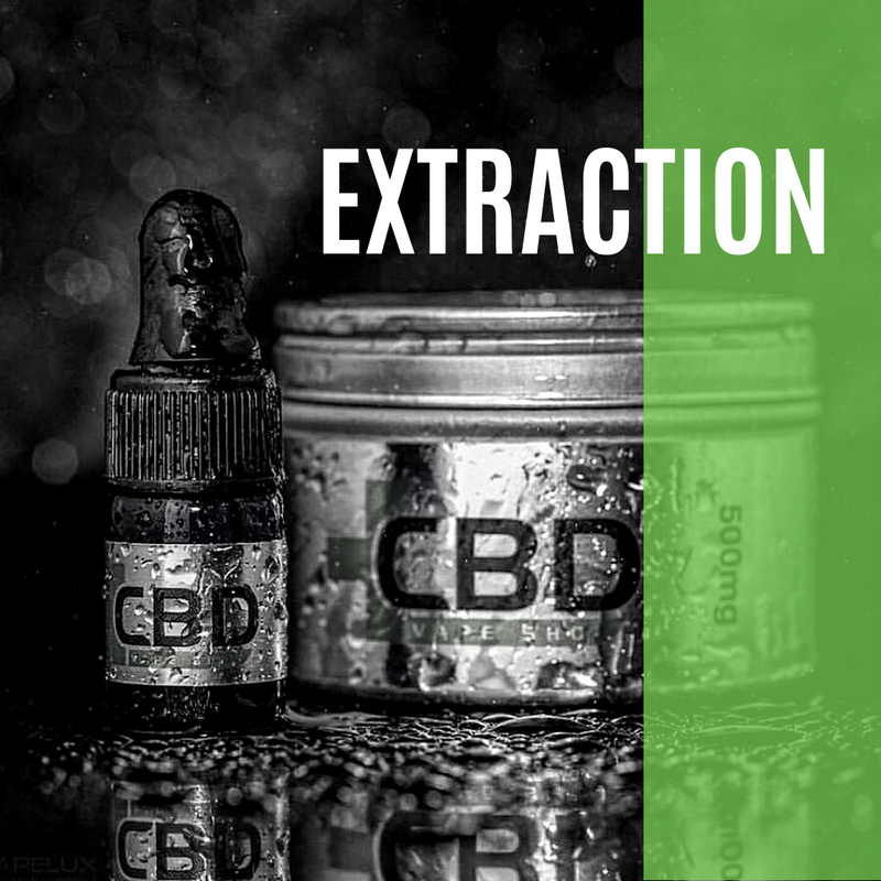 CBD Extraction